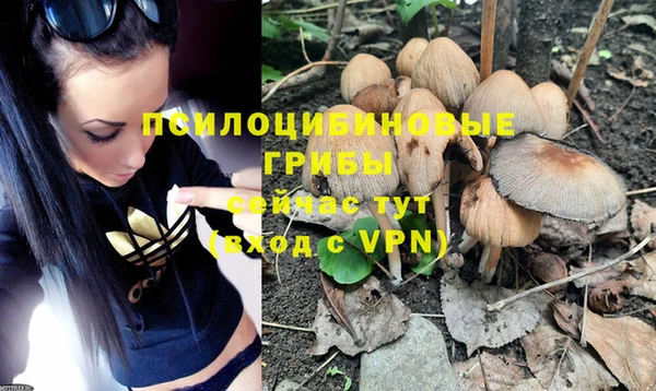 бошки Беломорск