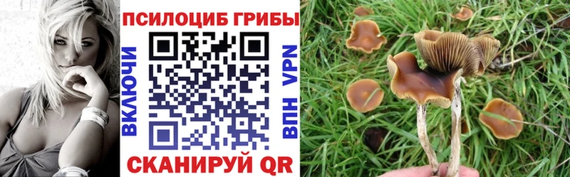 omg зеркало Дагестанские Огни darknet какой сайт даркнет сайт Псилоцибиновые грибы прущие грибы