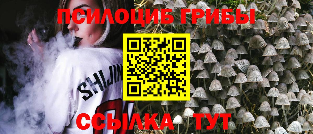 Псилоцибиновые грибы Magic Shrooms  Вход с VPN  Галлюциногенные грибы GOLDEN TEACHER  Дагестанские Огни 